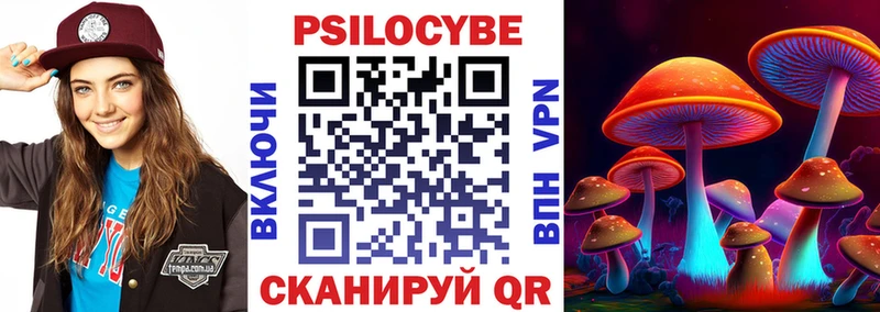 Псилоцибиновые грибы Magic Shrooms  где продают наркотики  гидра как войти  Куровское 